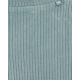 WE Fashion - Flared Legging - IJsblauw - Velvet