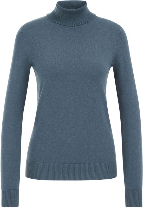 WE Fashion - Dames coltrui - Grijsblauw - Fijngebreid - Regular fit - Katoen