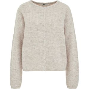 WE Fashion - Fijn Gebreid Vest - Ronde Hals - Lange Mouwen