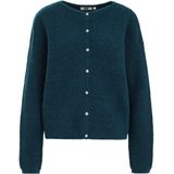 WE Fashion - Gebreid Vest - Turkoois - Wolmix - Regular Fit