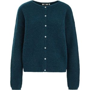 WE Fashion - Gebreid Vest - Turkoois - Wolmix - Regular Fit