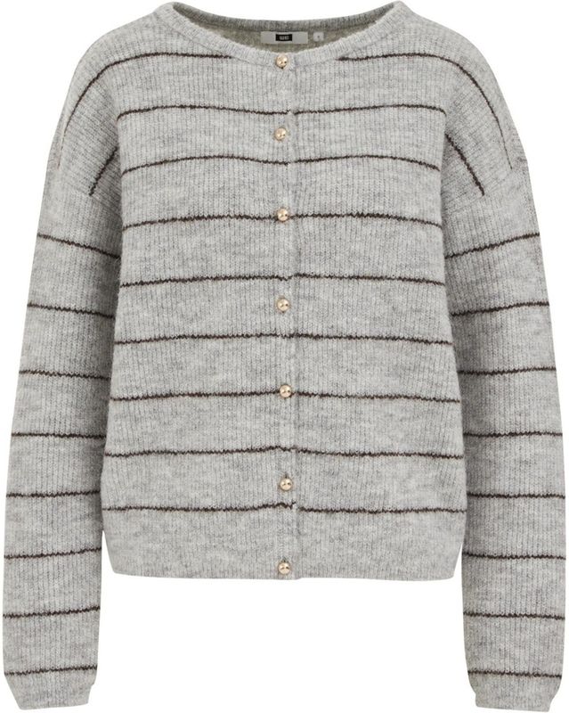 WE Fashion - Gebreid Vest - Grijs