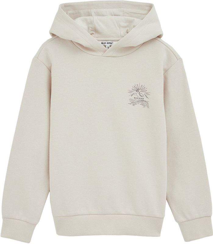 WE Fashion - Jongens Hoodie - Regular Fit - Met Borduurwerk