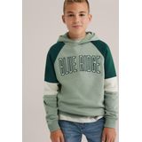 WE Fashion - Jongens Hoodie - Colourblock - Regular Fit