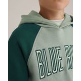 WE Fashion - Jongens Hoodie - Colourblock - Regular Fit