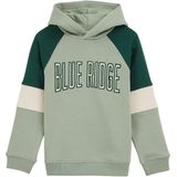 WE Fashion - Jongens Hoodie - Colourblock - Regular Fit