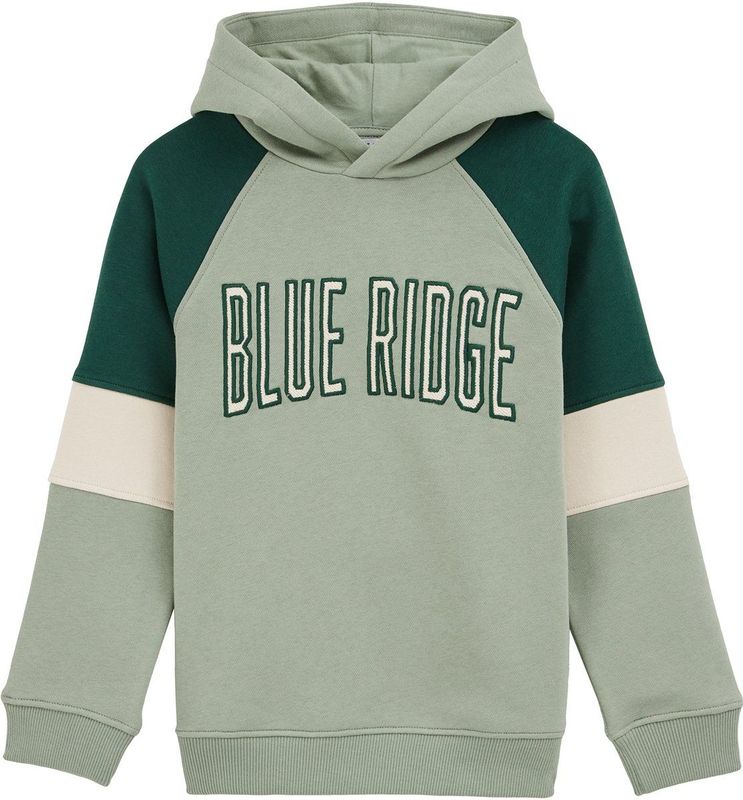 WE Fashion - Jongens Hoodie - Colourblock - Regular Fit