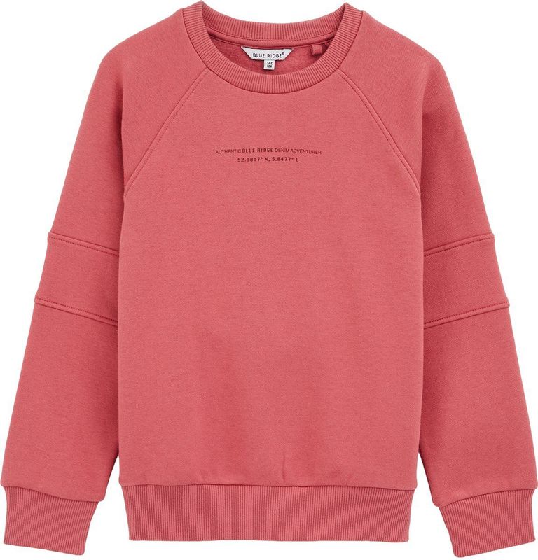 WE Fashion - Jongens Sweater - Regular Fit - Met Print