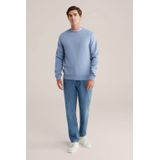 WE Fashion - Regular fit Sweater - Lichtblauw - Katoen