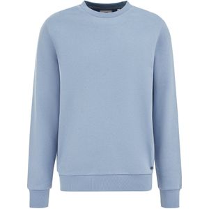 WE Fashion - Regular fit Sweater - Lichtblauw - Katoen