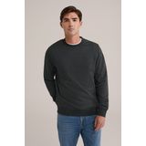 WE Fashion - Regular fit Sweater - Donkergroen - Katoen