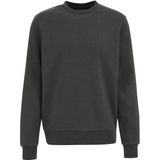 WE Fashion - Regular fit Sweater - Donkergroen - Katoen