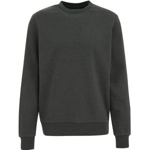 WE Fashion - Regular Fit - Sweater - Donkergroen - Katoen