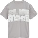 Dickies - Summerdale Hoodie - Oversized - Heather Grey - Katoen/Polyester