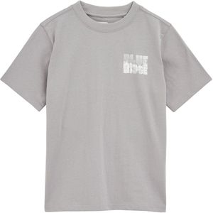 Dickies - Summerdale Hoodie - Oversized - Heather Grey - Katoen/Polyester