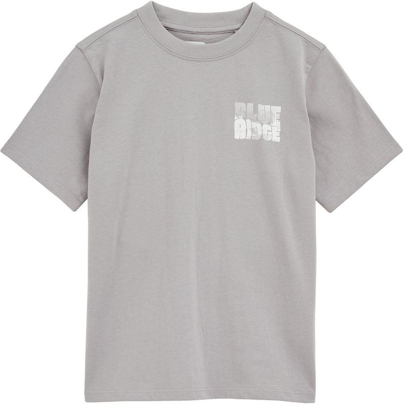 Dickies - Summerdale Hoodie - Oversized - Heather Grey - Katoen/Polyester