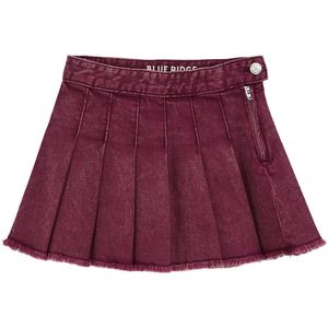 WE Fashion - Geplooide Rok - Denim