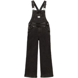 Blue Ridge - Tuinbroek - Zwart - Relaxed Fit