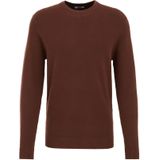 WE Fashion Trui  bruin