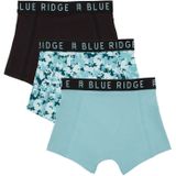 WE Fashion - Boxershort