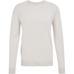 WE Fashion - Slim Fit Trui - Merinowol