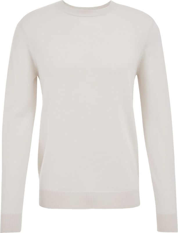 WE Fashion - Slim Fit Trui - Merinowol