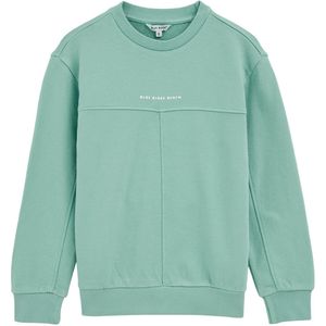 Blue Ridge - Jongens Sweater - Lichtblauw - Regular Fit - Katoen