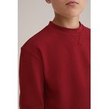 WE Fashion Blue Ridge sweater donkerrood