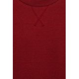 WE Fashion Blue Ridge sweater donkerrood