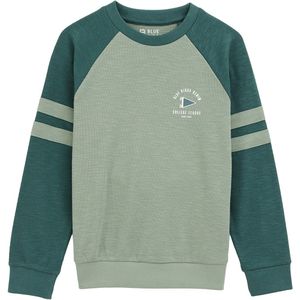 WE Fashion - Blue Ridge - Sweater - Groen