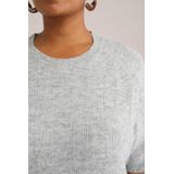 WE Fashion - Curve - Gebreide Trui - Lichtgrijs