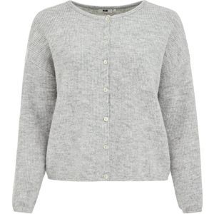 WE Fashion Curve - Gebreid Vest - Lichtgrijs