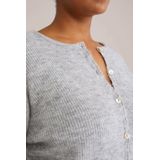 WE Fashion Curve - Gebreid Vest - Lichtgrijs