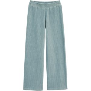 WE Fashion - Ribbroek - Mintgroen - Regular Fit - Katoen