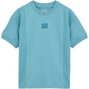 WE Fashion Blue Ridge - T-shirt - Lichtblauw