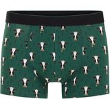 WE Fashion - Boxershort - Groen