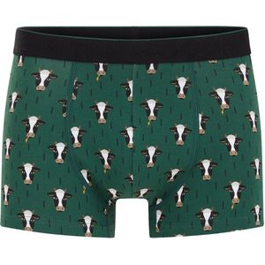 WE Fashion - Boxershort - Groen