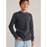 WE Fashion - Fijn Gebreide Trui - Antraciet - Lange Mouwen - Ronde Hals