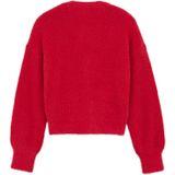 WE Fashion - Vest - V-hals - Knoopsluiting - Grof Breisel - Acryl en Nylon