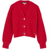 WE Fashion - Vest - V-hals - Knoopsluiting - Grof Breisel - Acryl en Nylon