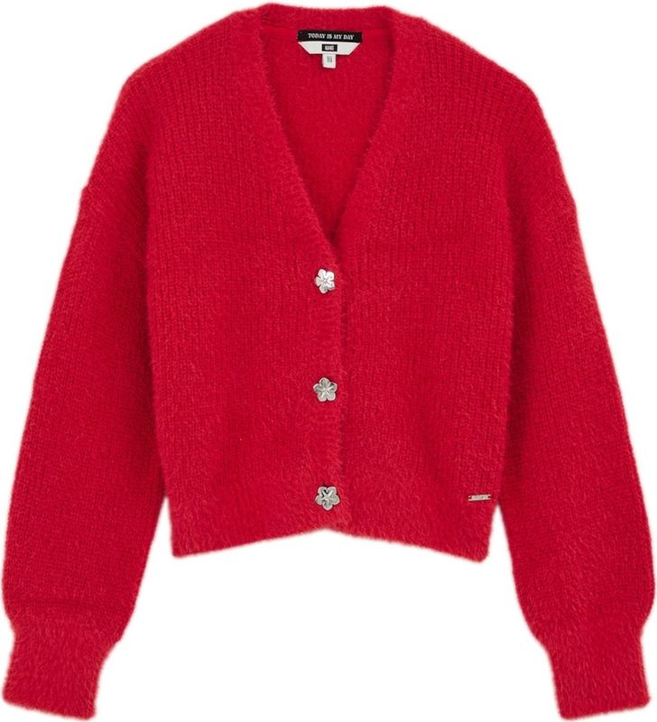 WE Fashion - Vest - V-hals - Knoopsluiting - Grof Breisel - Acryl en Nylon