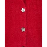 WE Fashion - Vest - V-hals - Knoopsluiting - Grof Breisel - Acryl en Nylon