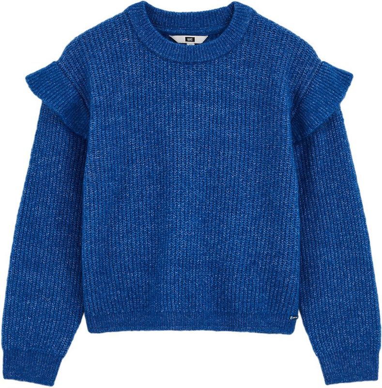 WE Fashion - Gebreide Trui - Kobaltblauw - Lange Mouw