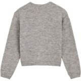 WE Fashion vest grijs melange gebreid