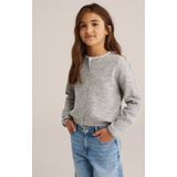 WE Fashion vest grijs melange gebreid