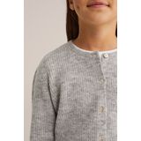 WE Fashion vest grijs melange gebreid