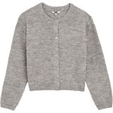 WE Fashion vest grijs melange gebreid