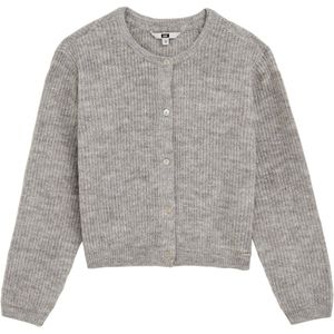 WE Fashion vest grijs melange gebreid