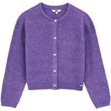 WE Fashion - Gebreid Vest - Lila - Normale Pasvorm - Lange Mouw