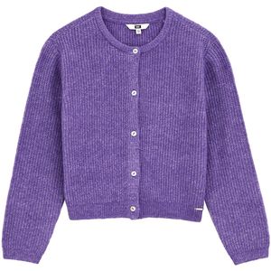 WE Fashion - Gebreid Vest - Lila - Normale Pasvorm - Lange Mouw